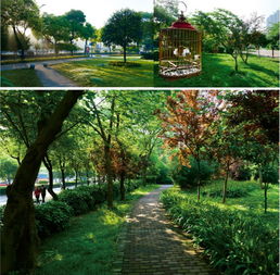 风景园林设计乙级资质 城隆设计 在线咨询 宜昌园林设计高清图片 高清大图
